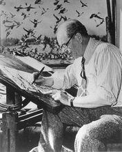 傑恩&middot;達爾靈(Jay N. Darling)3