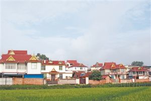 威遠鎮江東村 威遠鎮江東村