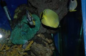 太原迎澤公園海底世界