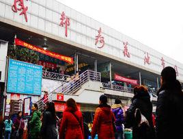 成都荷花池 成都荷花池