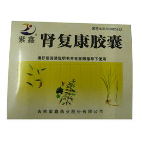 腎復康膠囊 腎復康膠囊