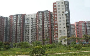 紫蘿園社區 紫蘿園社區