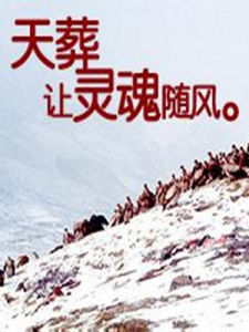天葬