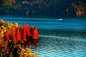 浪漫金秋·相約瀛湖