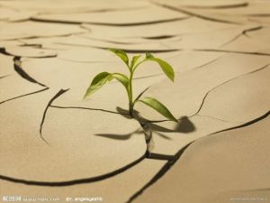 京郊大地 京郊大地