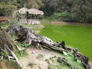 阿里山國家風景區