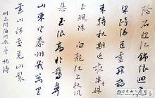 楊濤書法8
