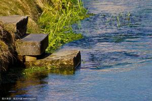 定床阻力 定床阻力