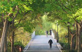 蜀山風景區 蜀山風景區