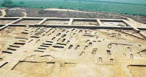 劉莊遺址 劉莊遺址