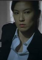 神探[2007年劉青雲主演香港電影]