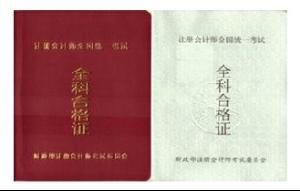 信息系統審計師