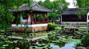 趙園[中國越野滑雪運動員]