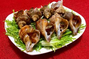 白灼海螺 白灼海螺