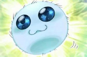 孢子[《遊戲王》中卡片]