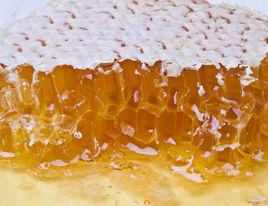 阿壩蜂蜜 阿壩蜂蜜