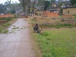 三槐村[雲南省楚雄州大姚縣金碧鎮下轄村]