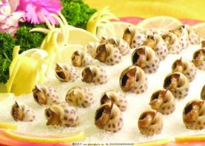 冰鎮花螺 冰鎮花螺