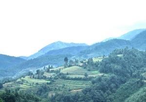 羊圈坡自然村 羊圈坡自然村