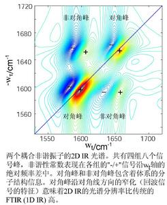 二維紅外光譜 二維紅外光譜