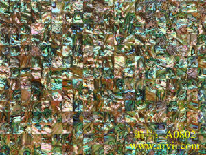 鮑魚貝馬賽克 鮑魚貝馬賽克