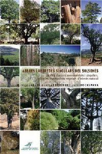 引導樹木和樹叢 引導樹木和樹叢