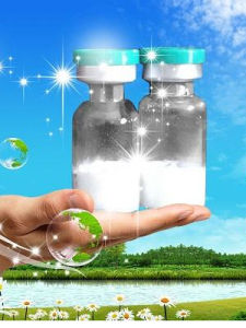 脾氨肽口服凍乾粉 脾氨肽口服凍乾粉