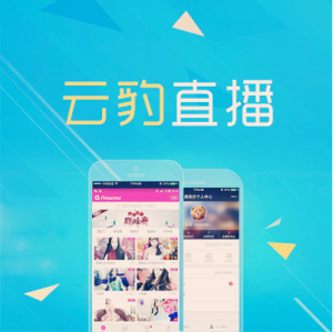 泰安雲豹網路科技有限公司 泰安雲豹網路科技有限公司