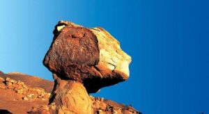 恐龍國家地質公園 恐龍國家地質公園