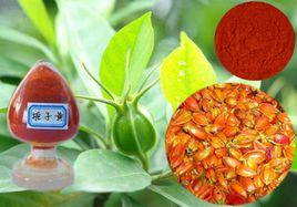 食品添加劑:梔子黃 食品添加劑:梔子黃