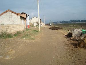 南天神村 南天神村