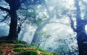 哀牢山紅河谷旅遊景區 哀牢山紅河谷旅遊景區