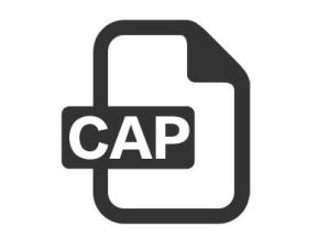 CAP[會計程式委員會]