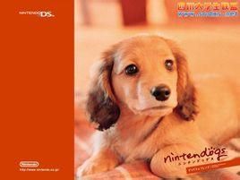 《任天狗》 《任天狗》