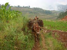 老山頭自然村 老山頭自然村