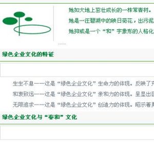 春和集團有限公司文化