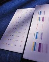 薄層色譜法 薄層色譜法