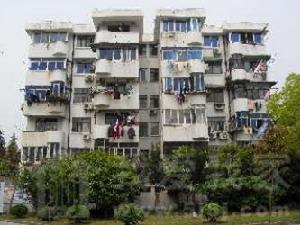 勝利新園 勝利新園