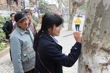 蕪湖洞畫妹陳琳