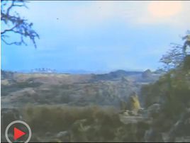 佛祖降臨 佛祖降臨