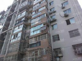 金梅花園 金梅花園