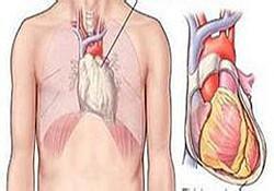 心性死亡 心性死亡