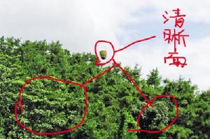 鼓山神秘飛行物 東方IC圖片社稱“鼓山飛石”