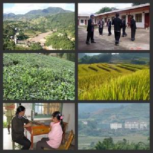 龍塘田自然村[雲南省鎮沅縣者東鎮龍塘田自然村]