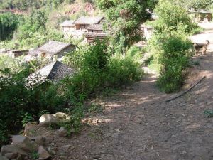 哪裡箐村 哪裡箐村