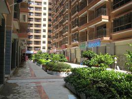 布吉新三村 布吉新三村