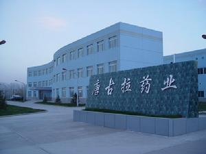 西寧經濟技術開發區