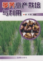 荸薺高產栽培與利用