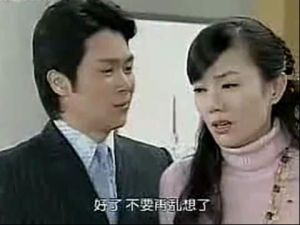 再續意難忘第三部