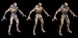 細分曲面 細分曲面